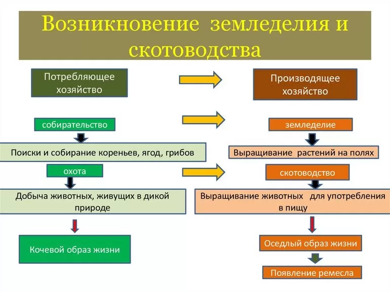 Понятие неолитическая революция