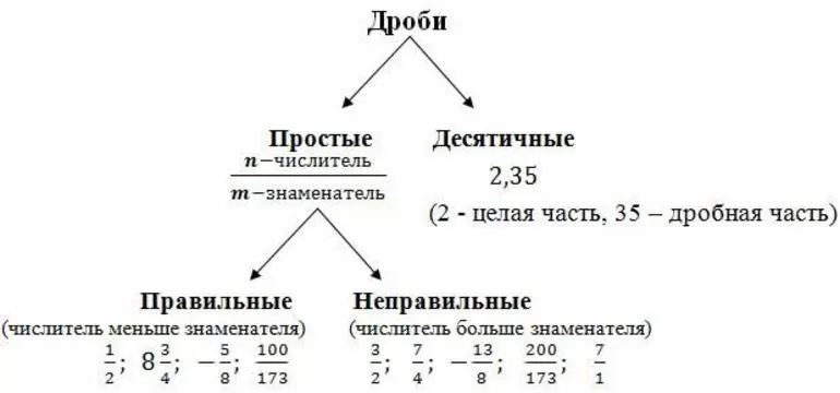 Виды дробей