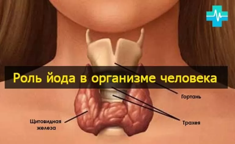  Основное применение йода в промышленности и жизни человека