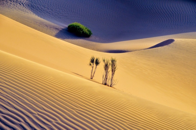 Пустынная полоса