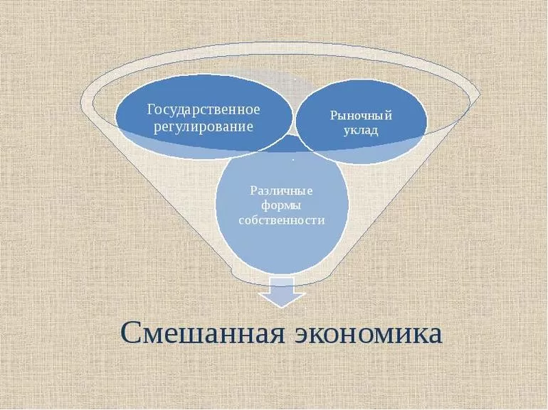 Что такое смешанная экономика