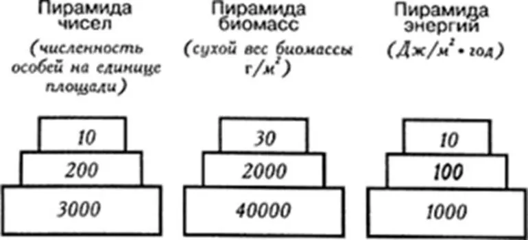 Какова их эффективность и какие существуют ограничения