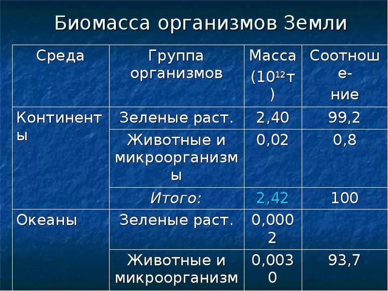 Экологическая пирамида: описание, виды и их характеристика