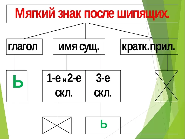 Правописание мягкого знака после шипящих в глаголах