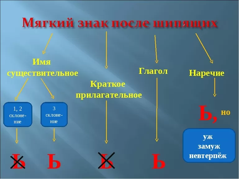 Изучение орфограммы в учебных заведениях