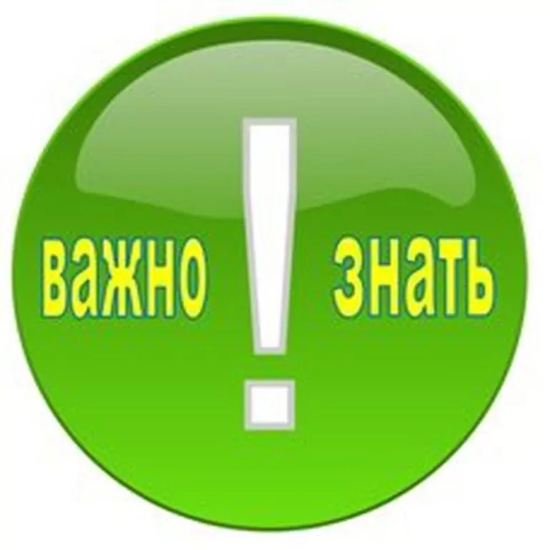 Что говорят правила русского языка