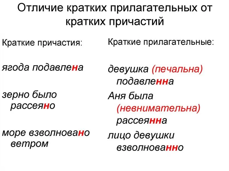 Как правильно писать Не с причастиями