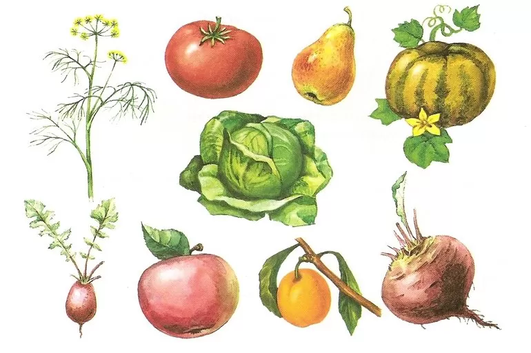 Культурные растения