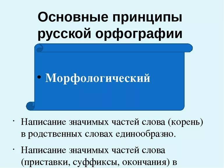 Морфологический принцип