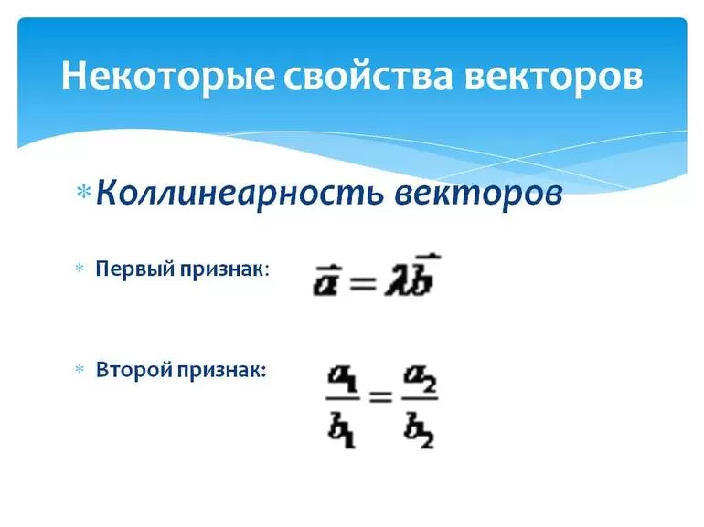 Определение понятия скалярные величины