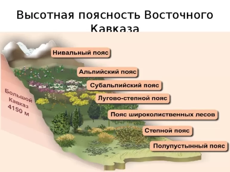 Причины влияющие на количество высотных поясов высотной