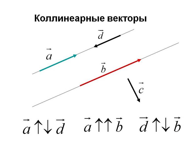 Если два вектора лежат на параллельных прямых то они