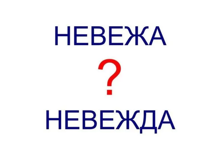 Невежа и невежда разница