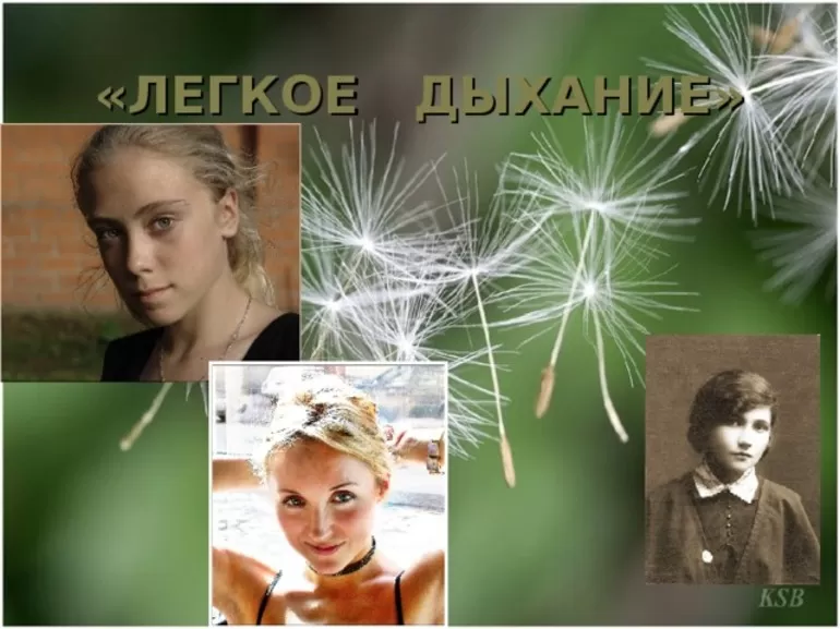 Краткое содержание новеллы