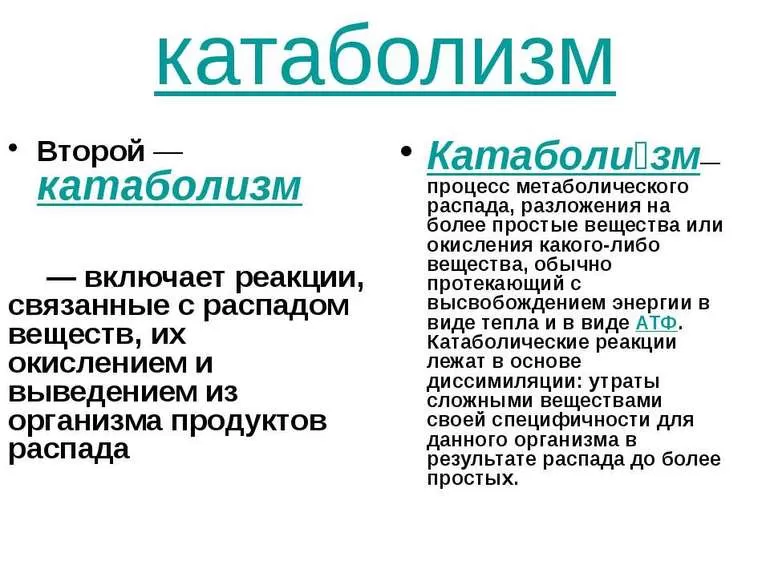 Перспективы развития исследований