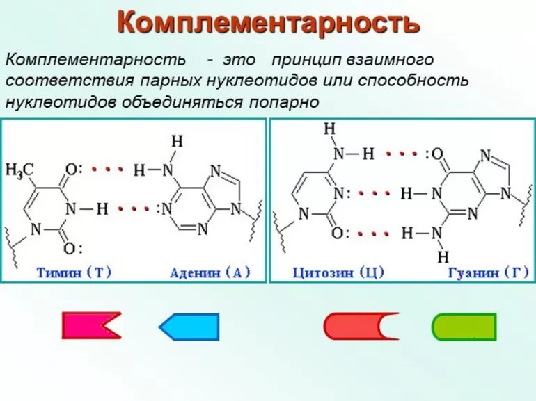 Перспективы комплементарности