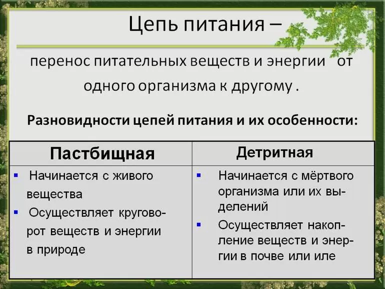 Продуценты консументы редуценты