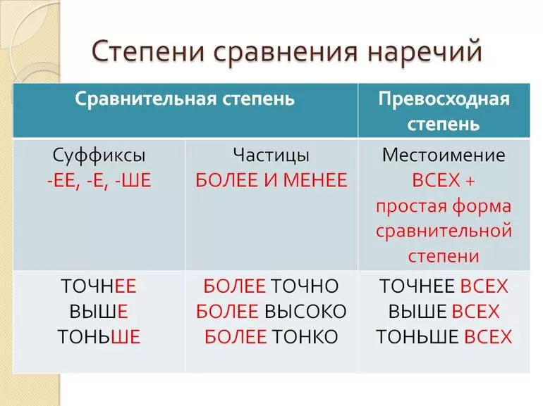 Их виды и формы