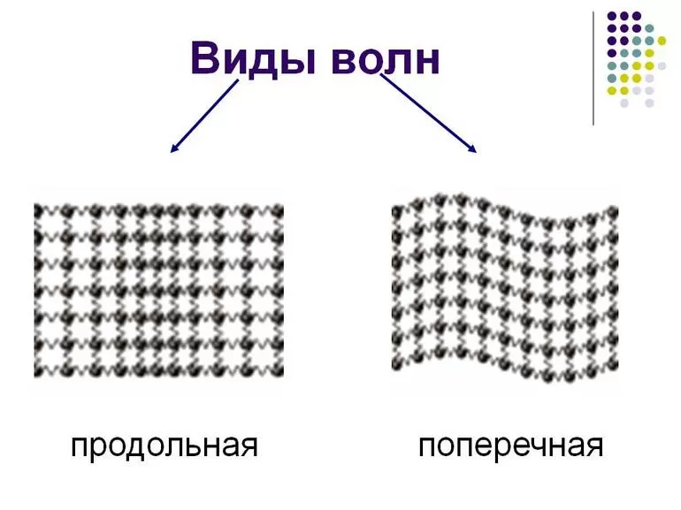 Колебания бывают продольными и поперечными
