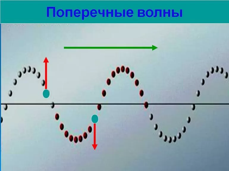 Поперечная волна
