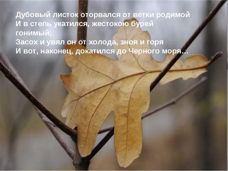 Размер стихотворения листок лермонтова