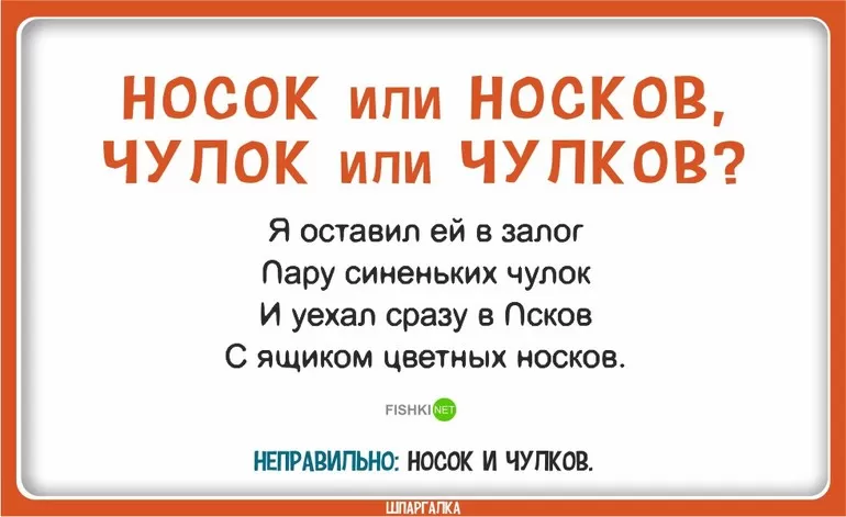 Употребление слова носок и носков