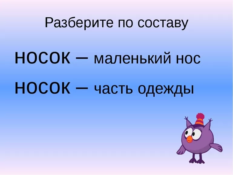 Слово носок в современных словарях