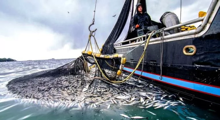 Рыболовство в море