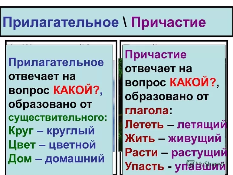 Примеры кратких причастий