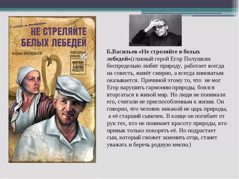 Содержание романа Не стреляйте белых лебедей