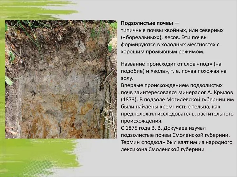 Свойства подзолистых почв