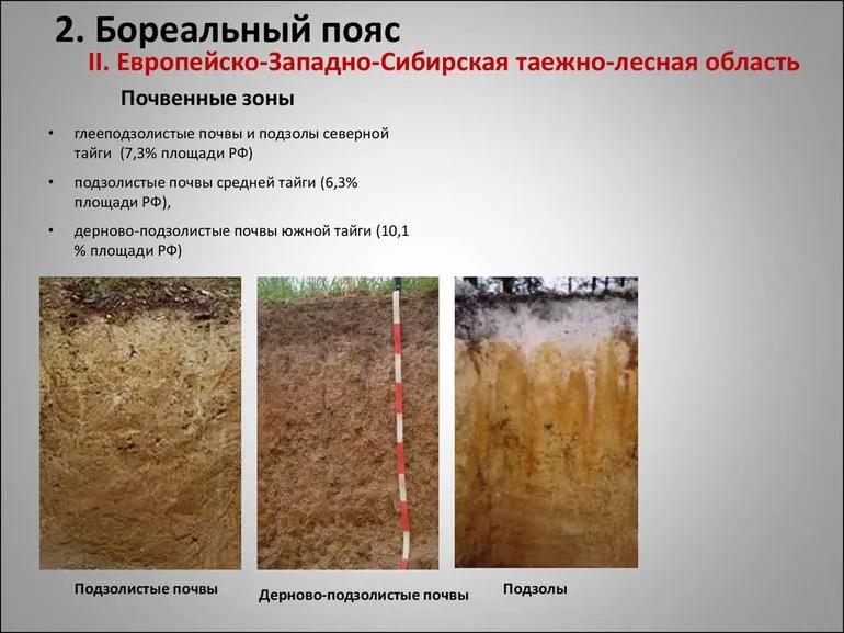 Рельеф грунтов