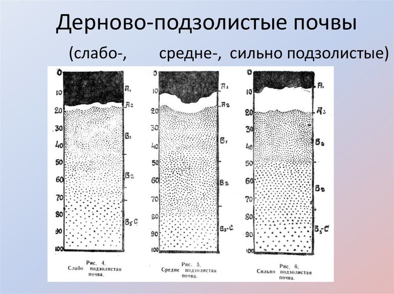 Классификация пластов подзолистых почв