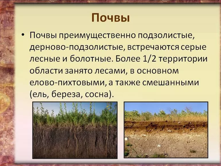 Использование земель