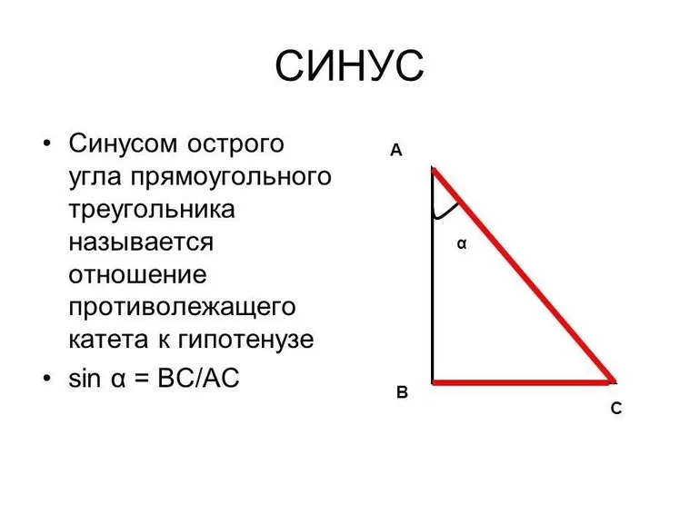 Синус
