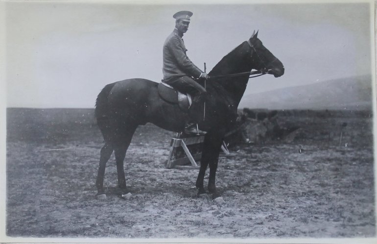 Лошади пржевальского
