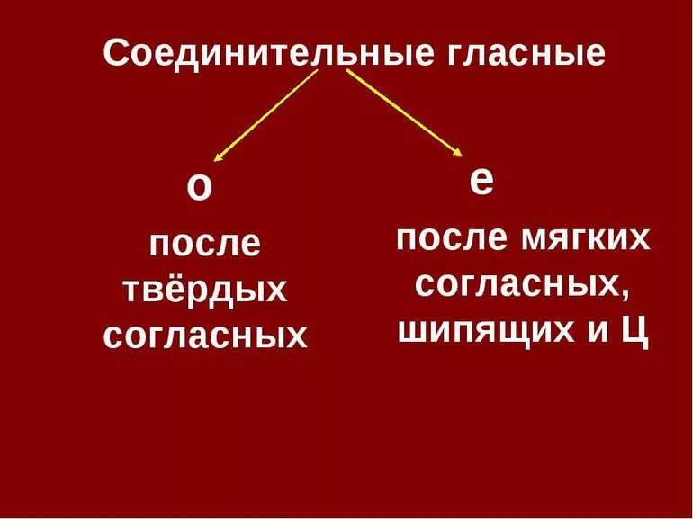 Понятие сложных слов и принципы сложения основ