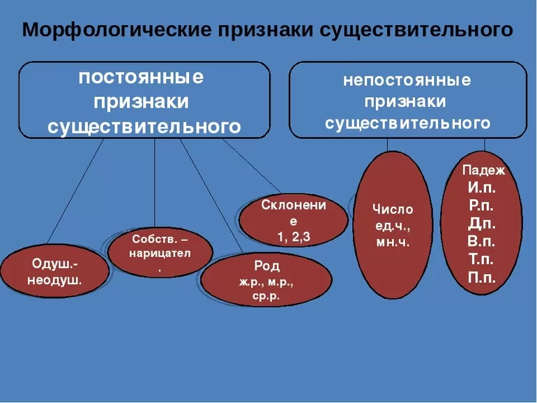 Морфологические признаки существительного