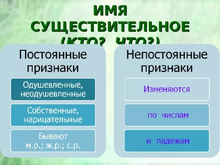 Значение и специфика категорий существительного