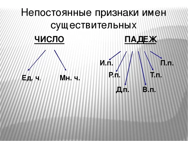 Суть понятия, постоянные и переменные