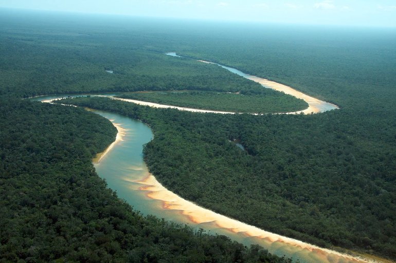 Особенности Амазонской низменности