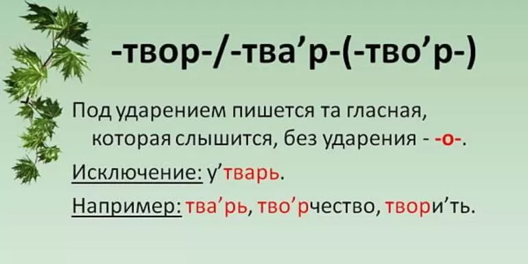 Правописание корней твар твор