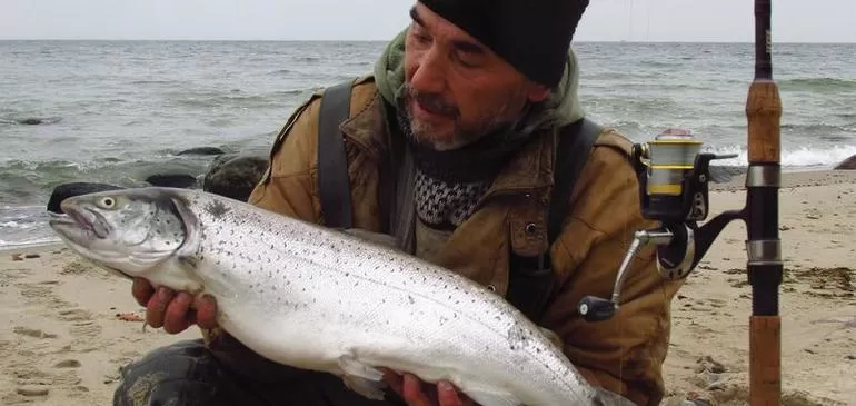 Рыба в Балтийском море
