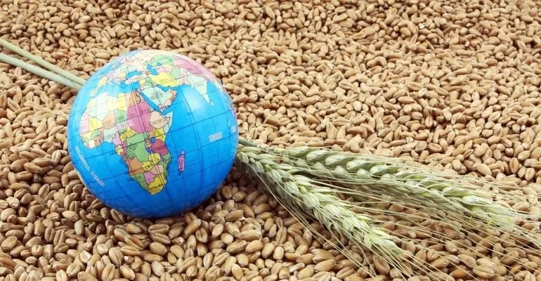Продовольственная проблема человечества
