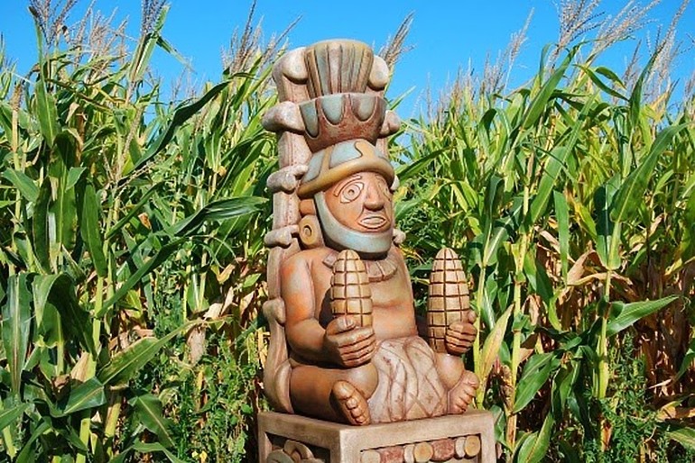 У индейцев майя почитание кукурузы
