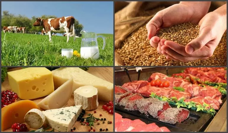 Производстве продуктов питания