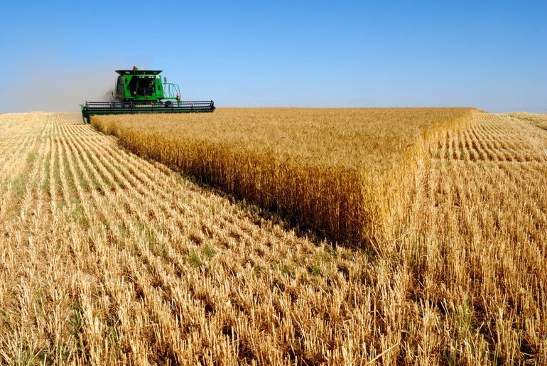 Увеличение производства зерновых культур в мире