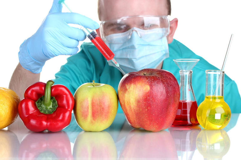 Плюсы и минусы ГМО