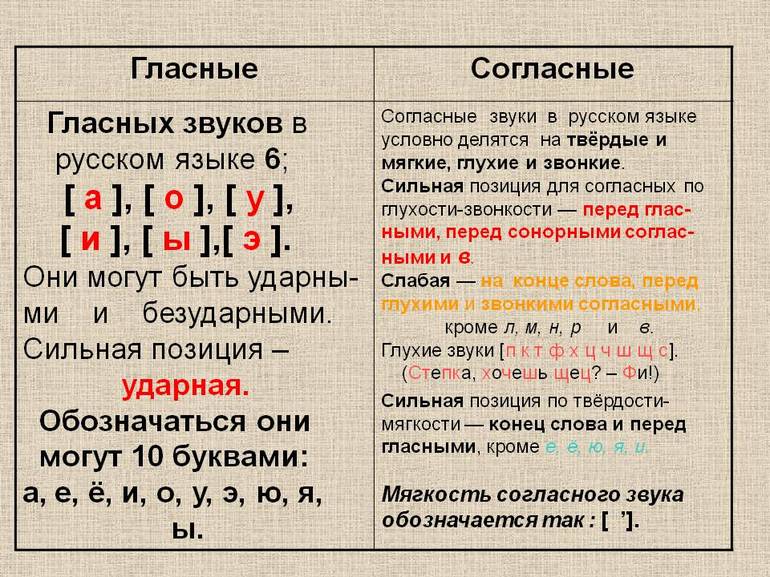 Гласные и согласные в русском языке 