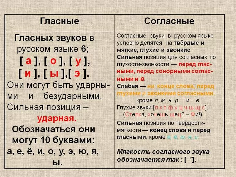 Гласные и согласные в русском языке